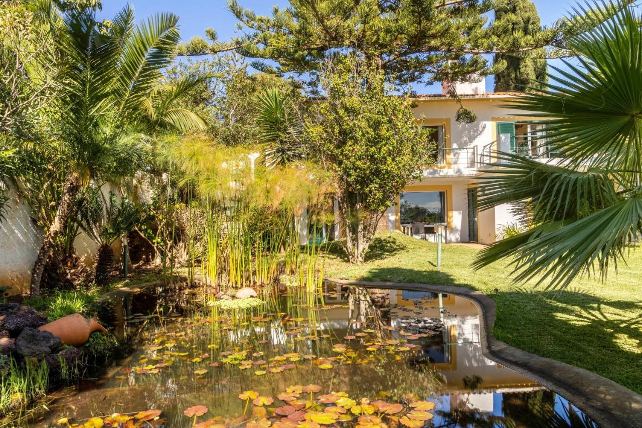 Villa Echium T1 كانيكو المظهر الخارجي الصورة