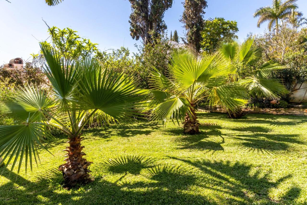 Villa Echium T1 كانيكو المظهر الخارجي الصورة